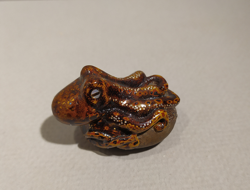 Octopus on a stone05